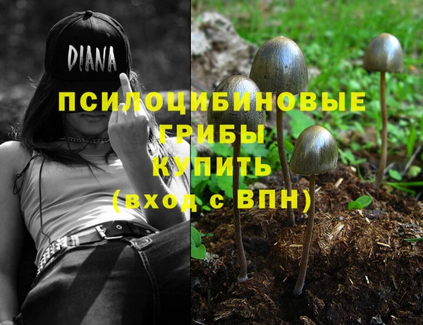 метадон Ладушкин