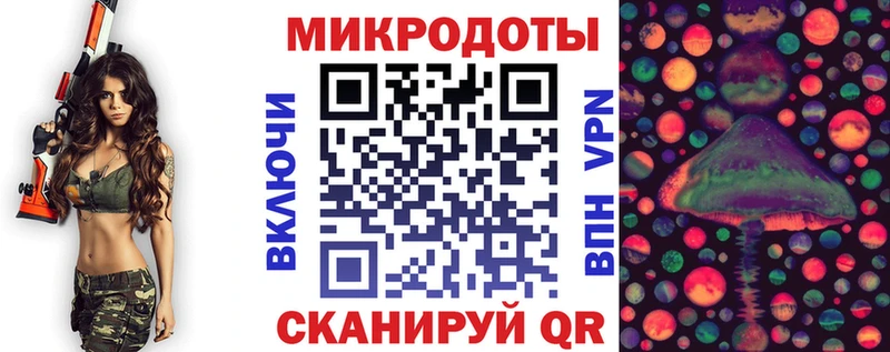 Купить  Чухлома  Псилоцибиновые грибы Cubensis 