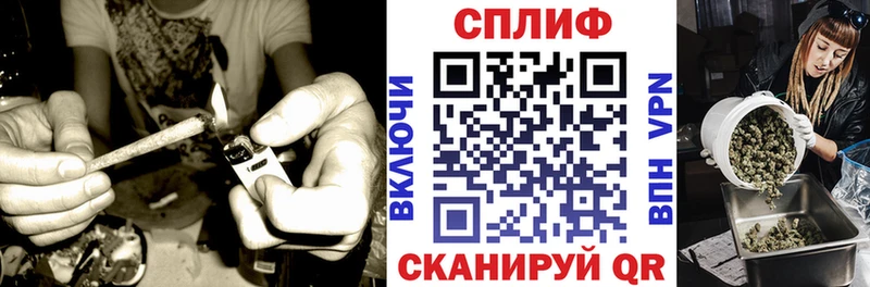 Купить где  Чухлома  Каннабис сатива 